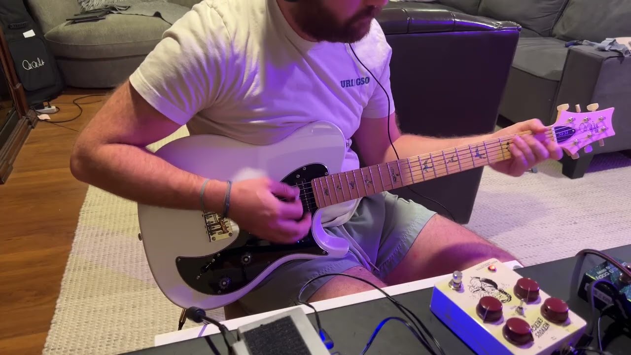 PRS Finally Makes An Affordable NF53: PRS SE NF53 Demo