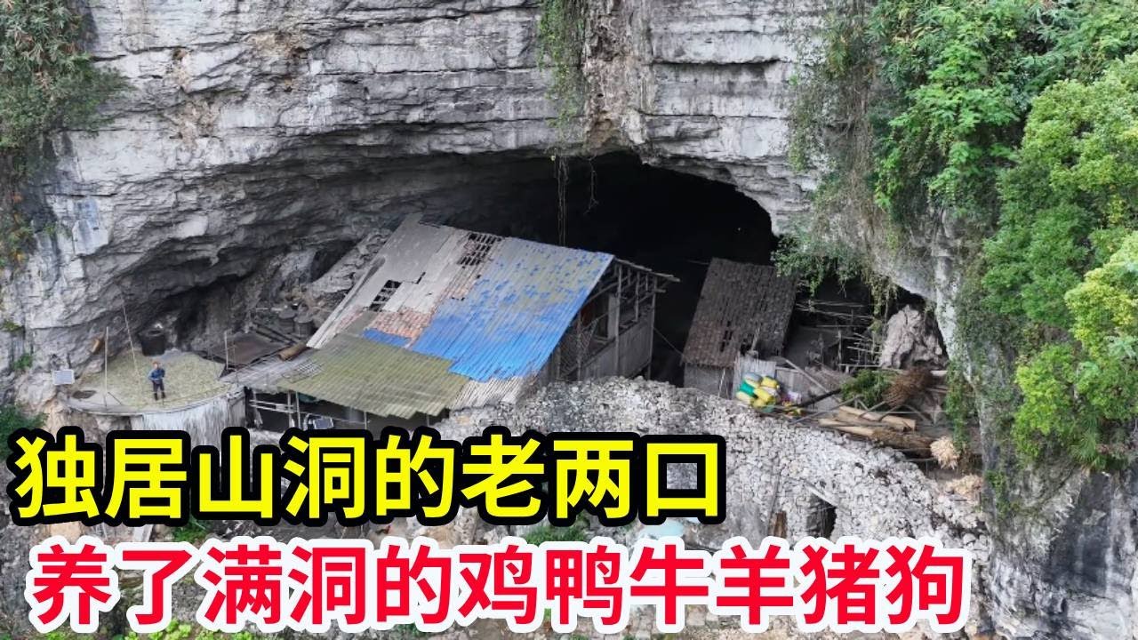 独居山洞的老两口，养了满洞的鸡鸭牛羊猪狗，门口十几年的老马居然还听懂人话！【山农乐哥】
