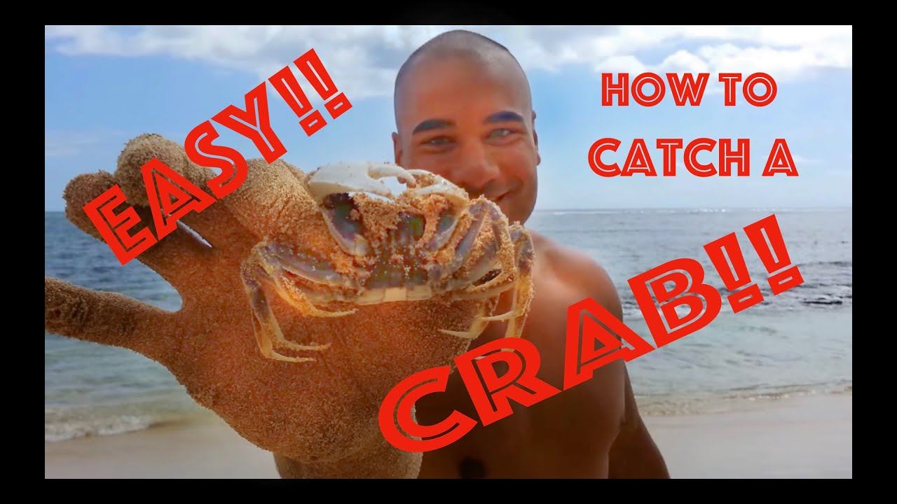How to CATCH a CRAB on the BEACH!! EASY!!