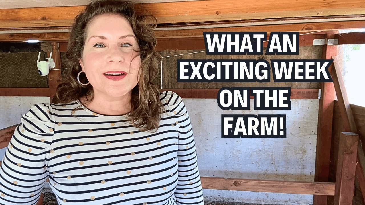 This Was One Exciting Week on the Farm!