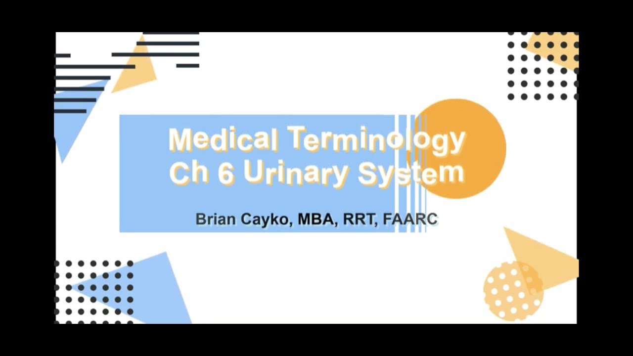 Ch 6 Medical Terminology: Urinary System