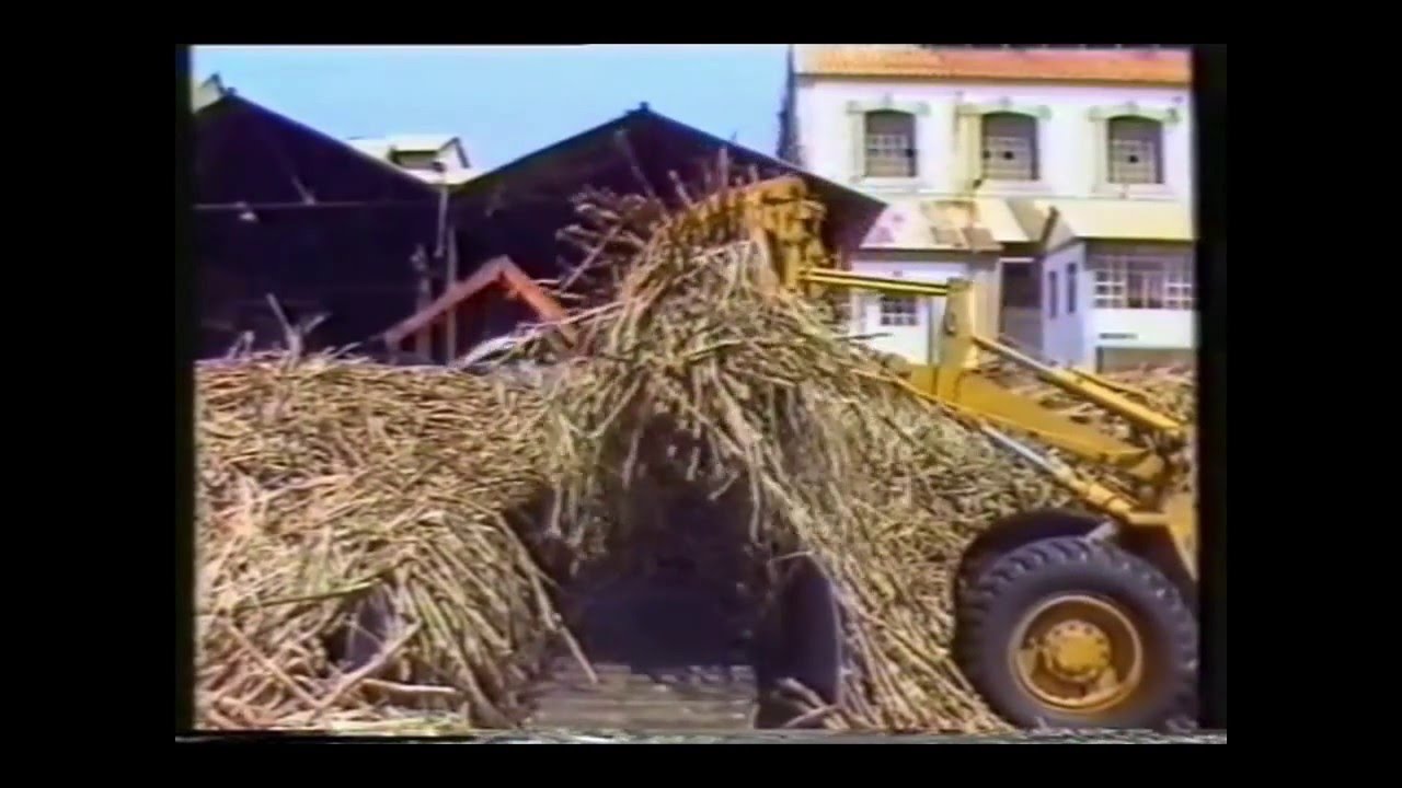 LA AZUCARERA DE TORRE DEL MAR UNA INDUSTRIA DESAPARECIDA