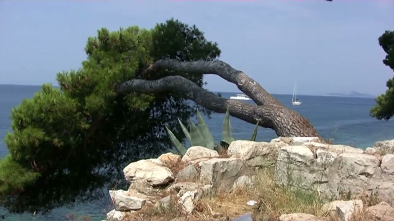 #Croatie la merveilleuse station balnéaire de #Cavtat