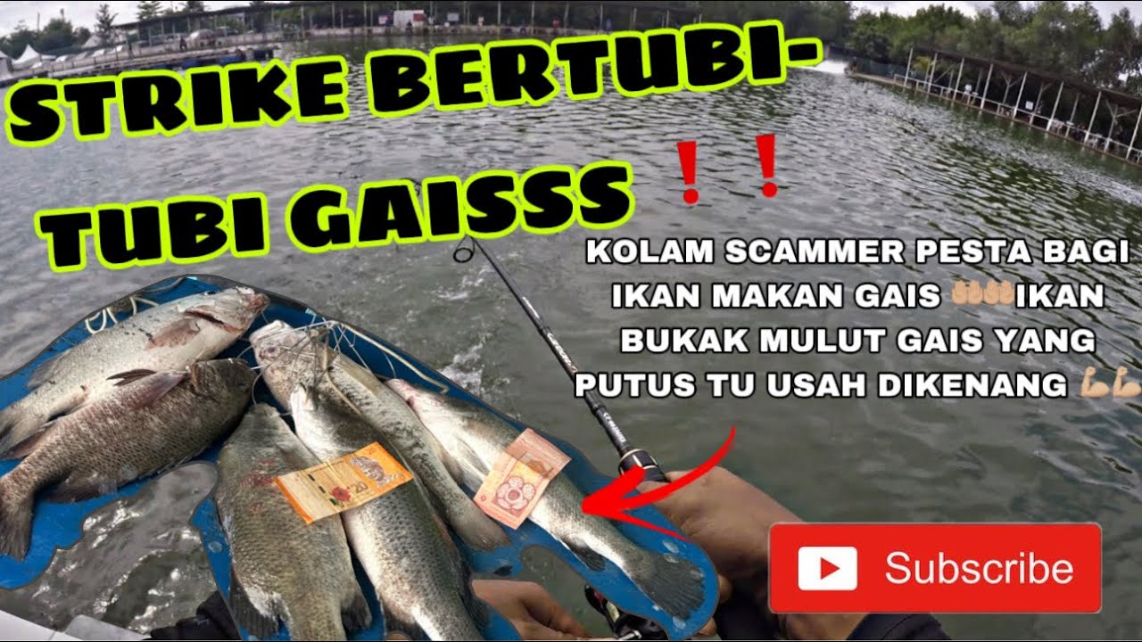 KOLAM 2 KG DELEK FISHING PARK | IKAN BUKAK MULUT GAIS ❗️❗️