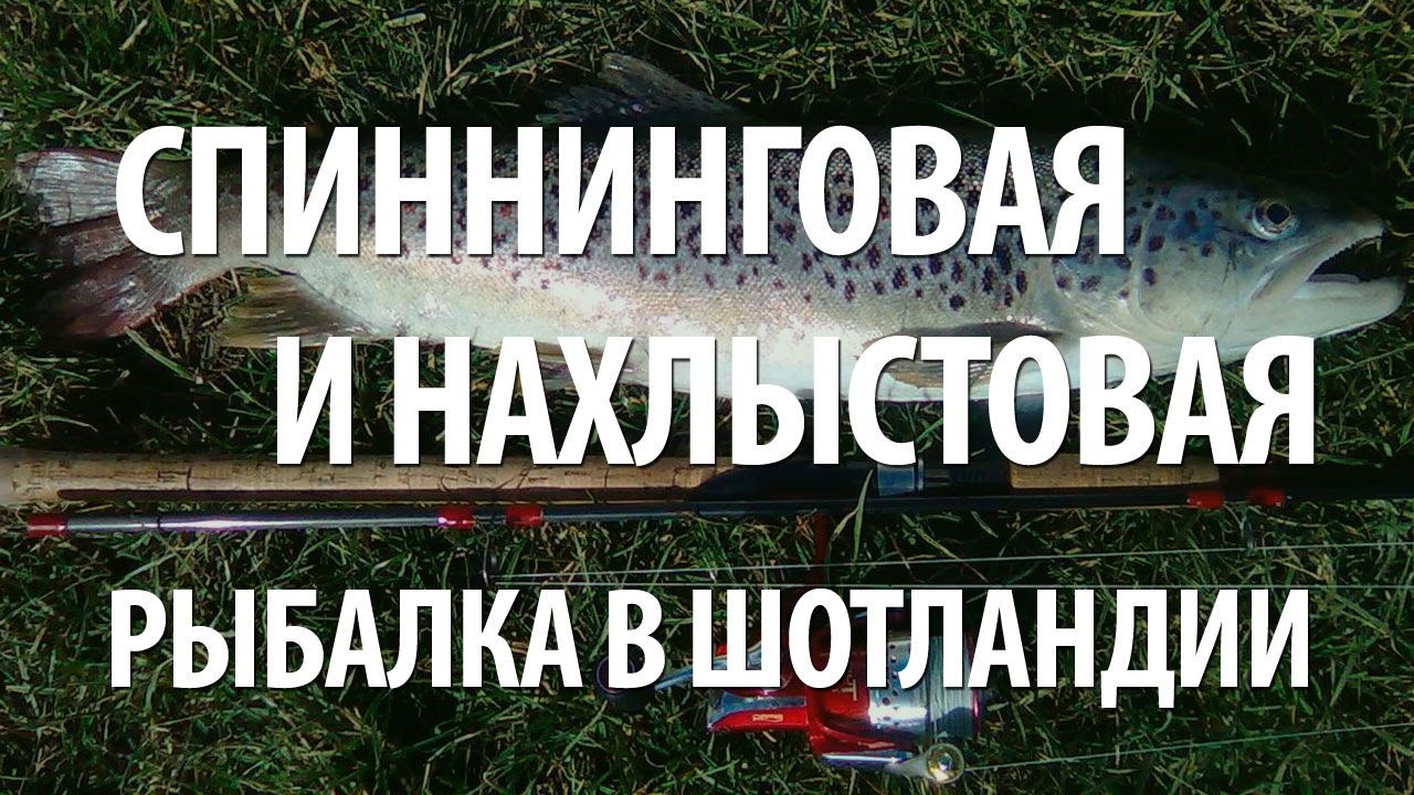 РЫБАЛКА в ШОТЛАНДИИ на СПИННИНГ и НАХЛЫСТОМ