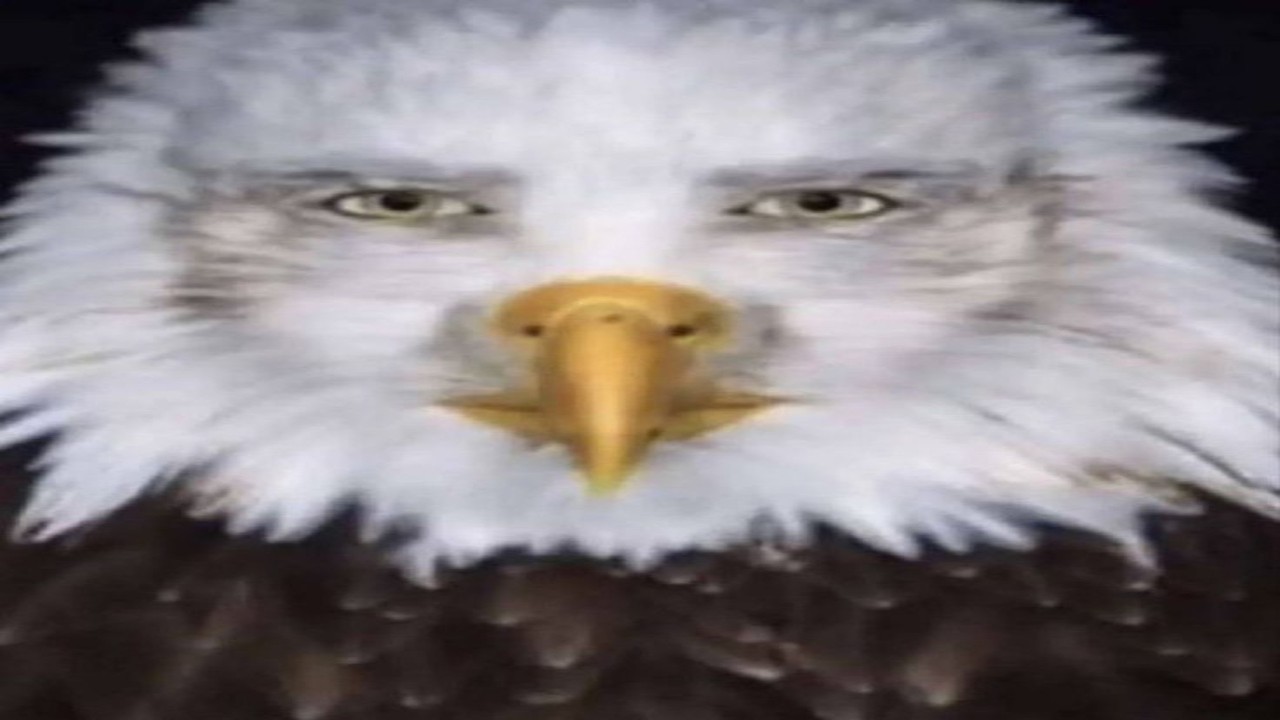 Your brain will melt after watching these freaks