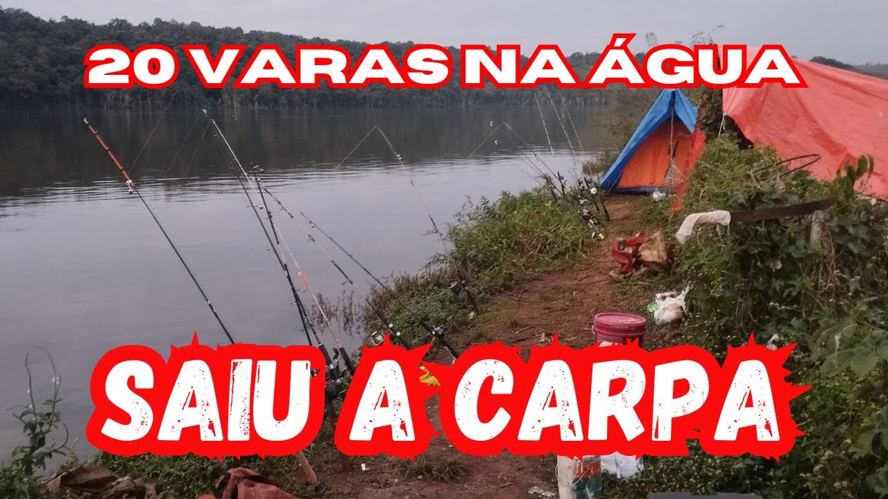 Pescaria de Carpa no rio Iguaçu - Carpa de 22 kg???