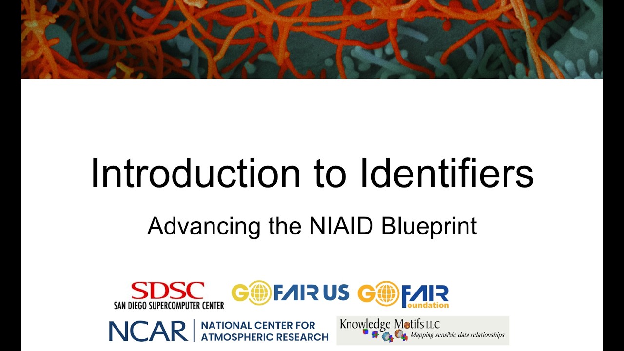 Blueprint Series: Introduction to Identifiers