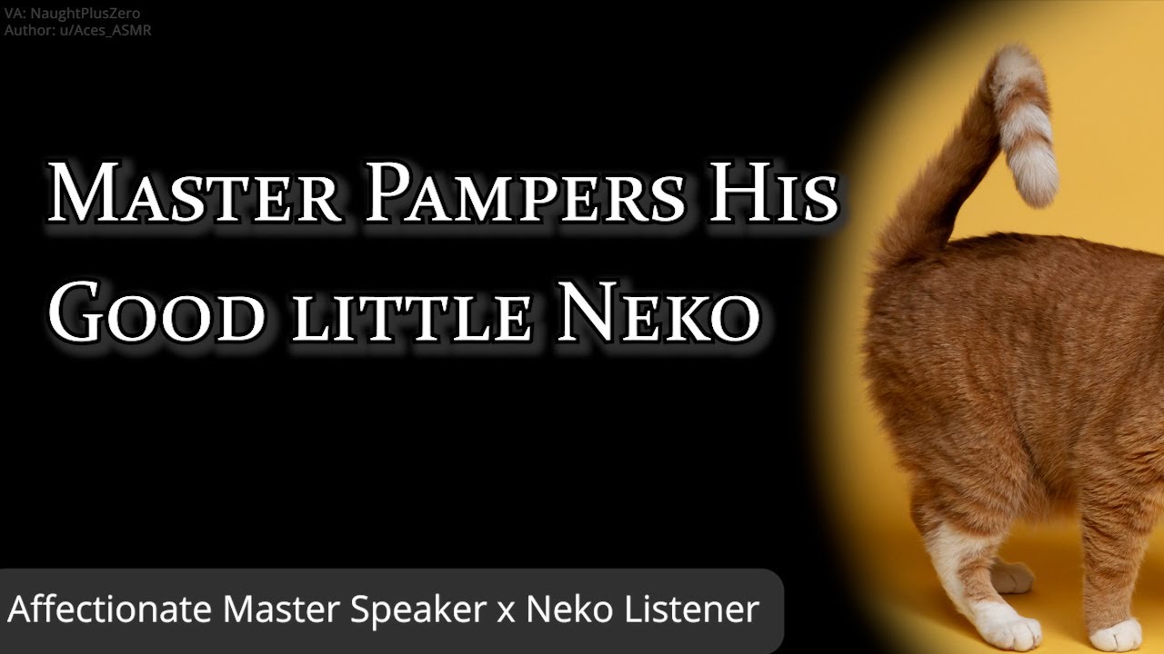 Master Pampers His Good little Neko [M4A] [Cuddles] [Kisses] [Butt Smack]  [Kitten] (Audio Roleplay)