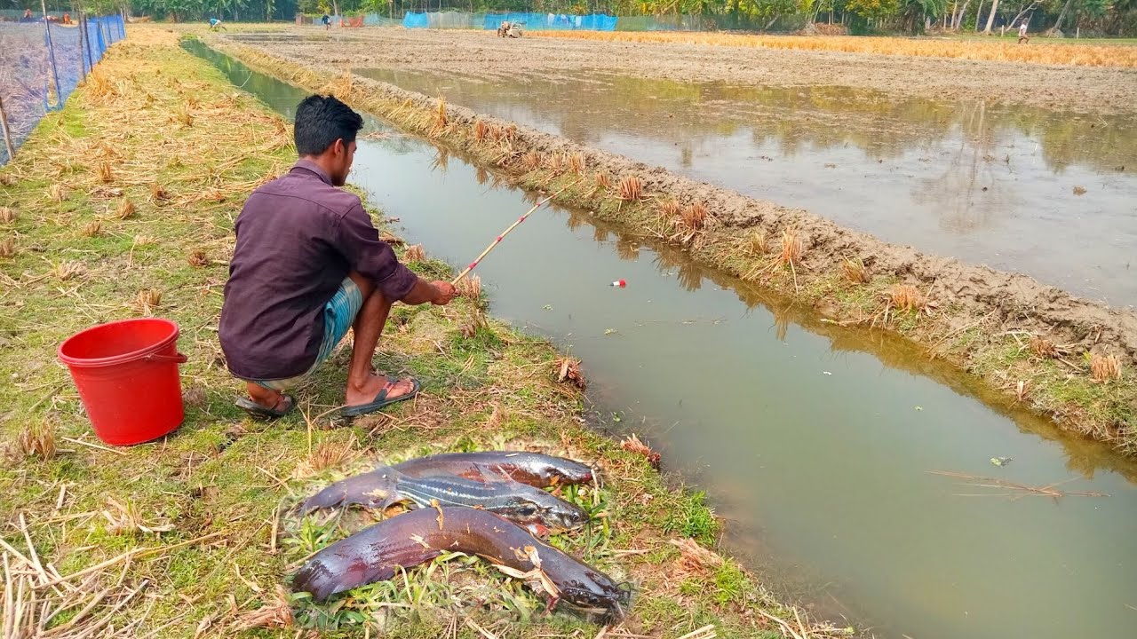 Mahe Ramadan Fishing | Village hook fishing | Fishing videos | New traditional fishing