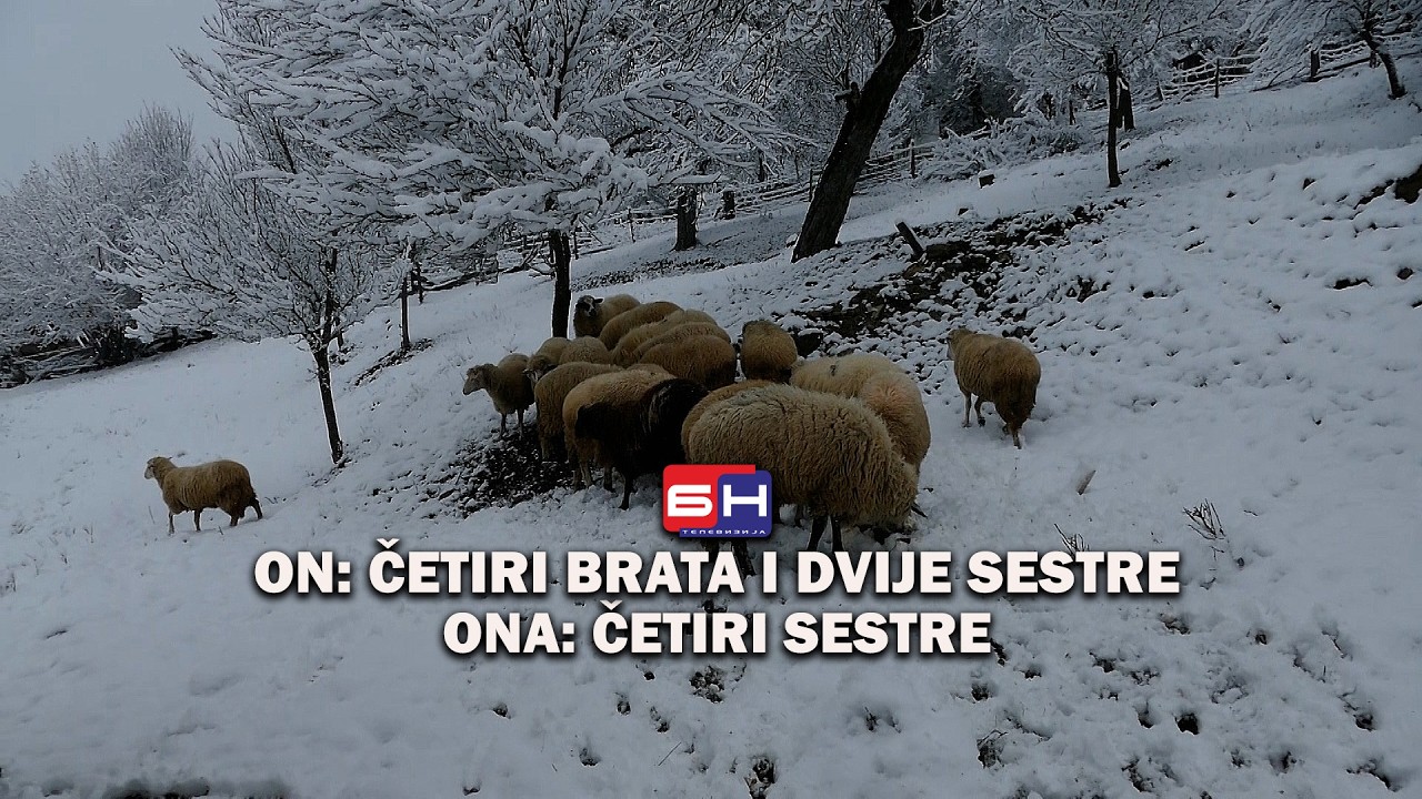 ON: Četiri brata i dvije sestre; ONA: Četiri sestre || ZAPISI PORED PUTA