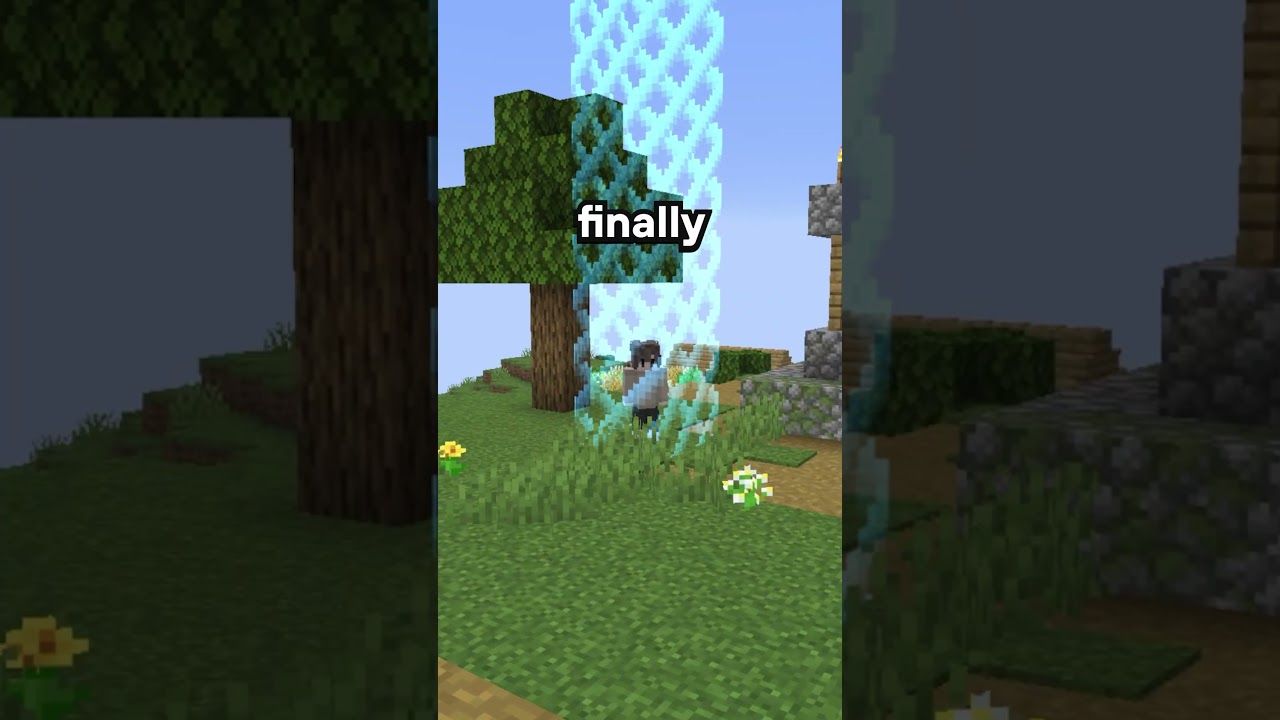 BEST Java/Bedrock Minecraft Server 🔎 #minecraft #gaming #boxsmp #smp