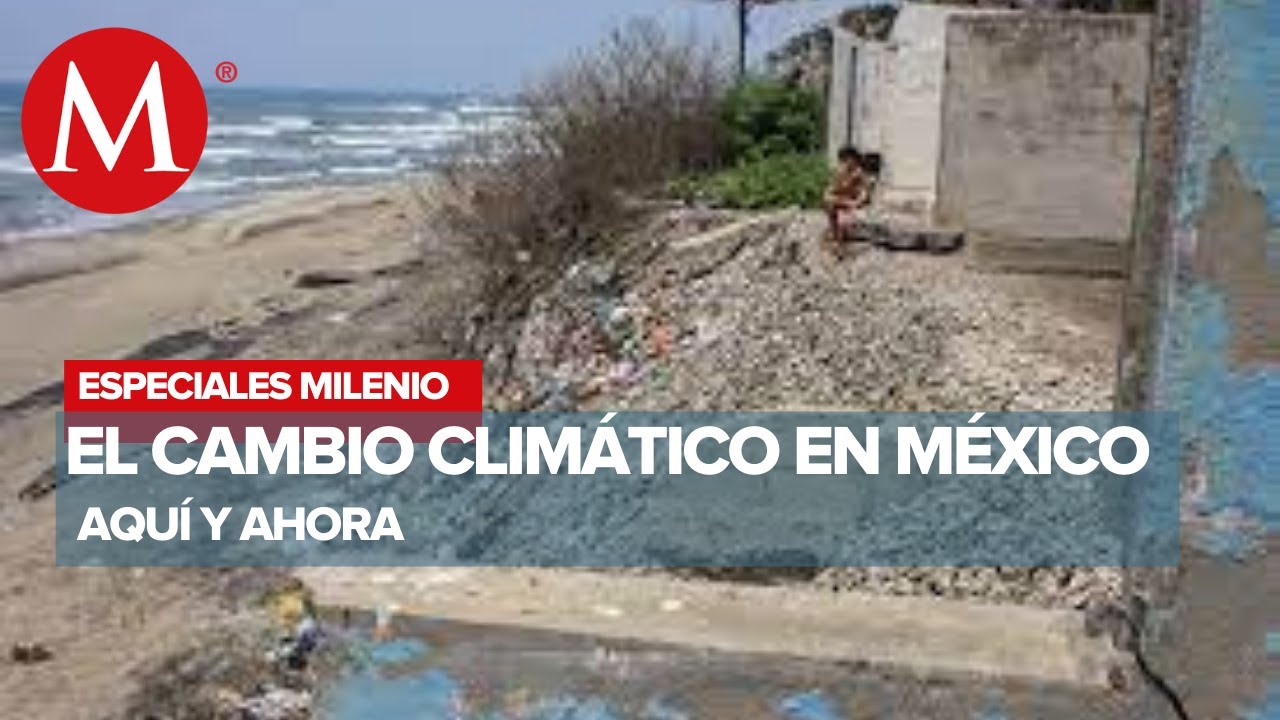 Aquí y ahora: El cambio climático en México | Especiales Milenio