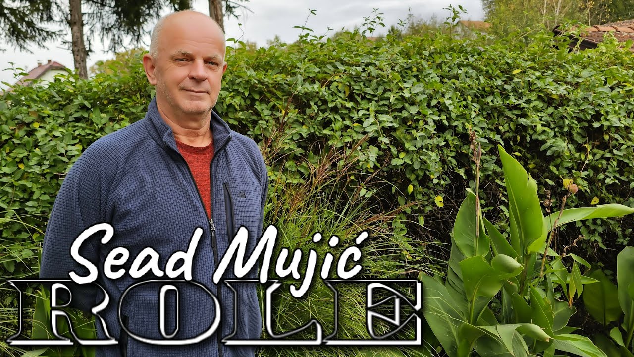 Sead Mujic Role - Zbog nevjere njene [Uzivo]