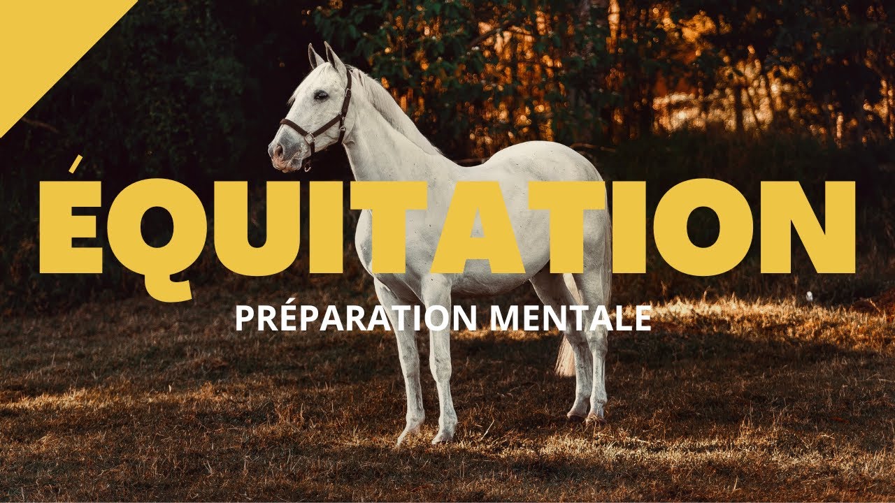 Séance de Préparation Mentale Équitation - Réussir son Concours en Saut d'obstacles