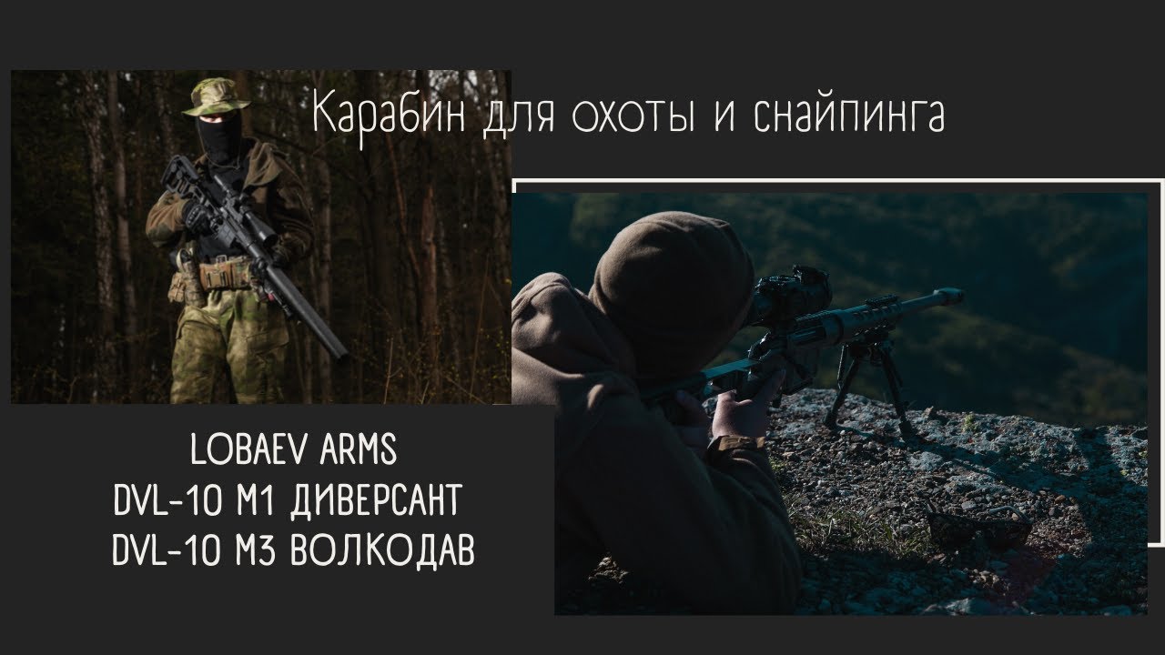 Карабин для охоты / Карабин для снайпинга Lobaev Arms DVL-10 M1 Диверсант / DVL-10 M3 Волкодав /