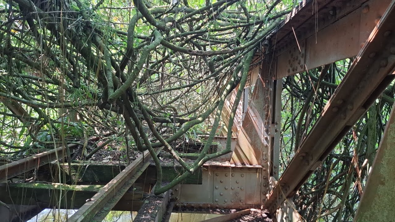 Pela primeira vez no YouTube!!! Ponte de ferro do ramal do Bucarein ( especial de 180 inscritos)