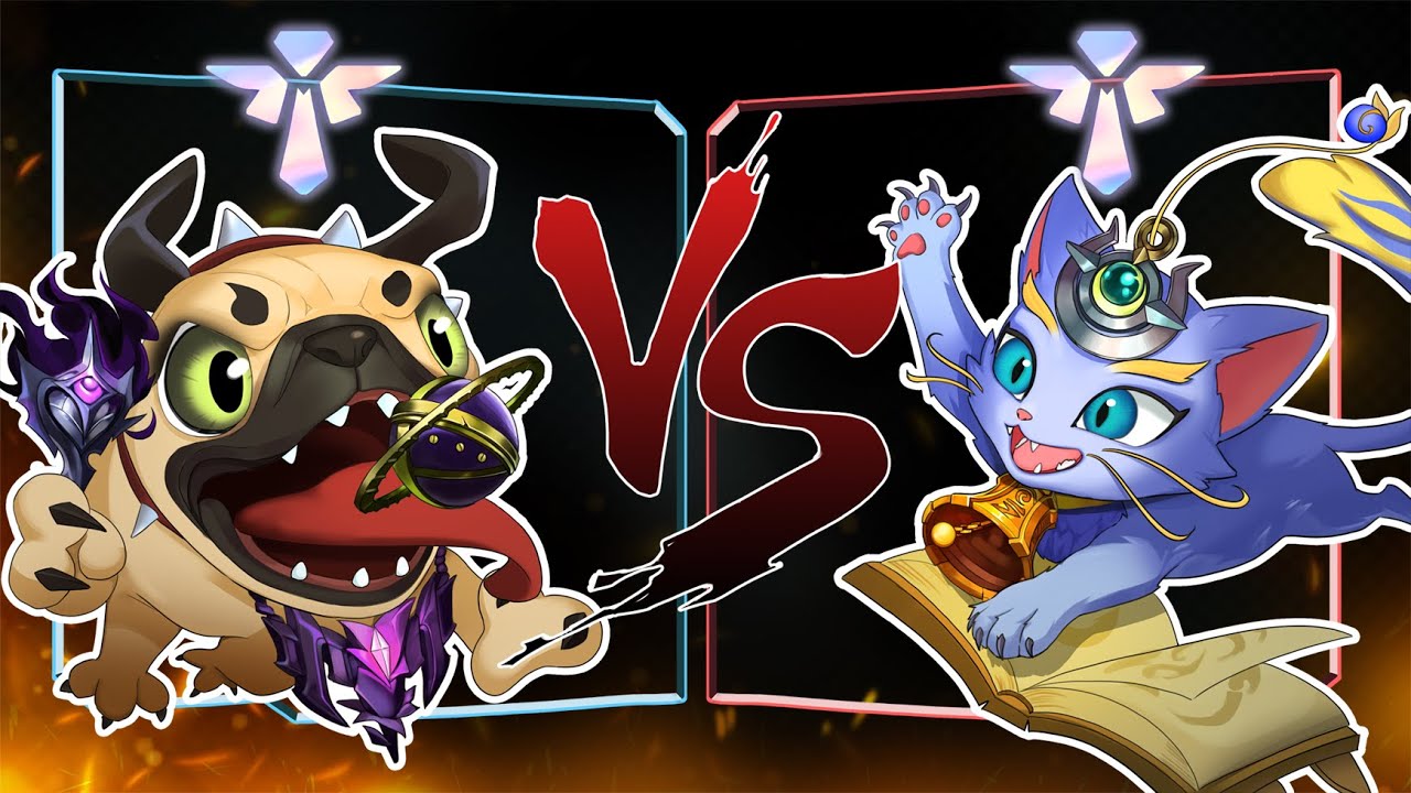 멍 VS 냥   AP 코그모 서포터