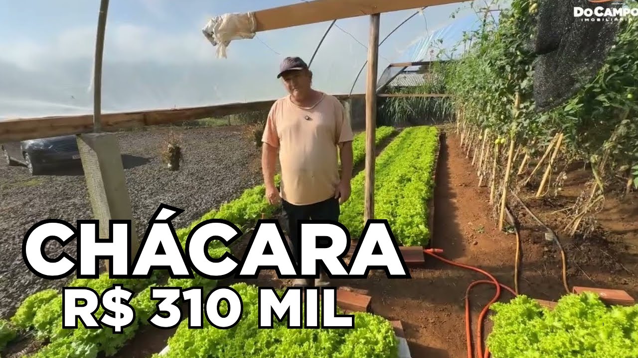CHÁCARA EM MARAVILHA SC - CASA PLANTAS LAVOURA E VERDURAS R$310MIL