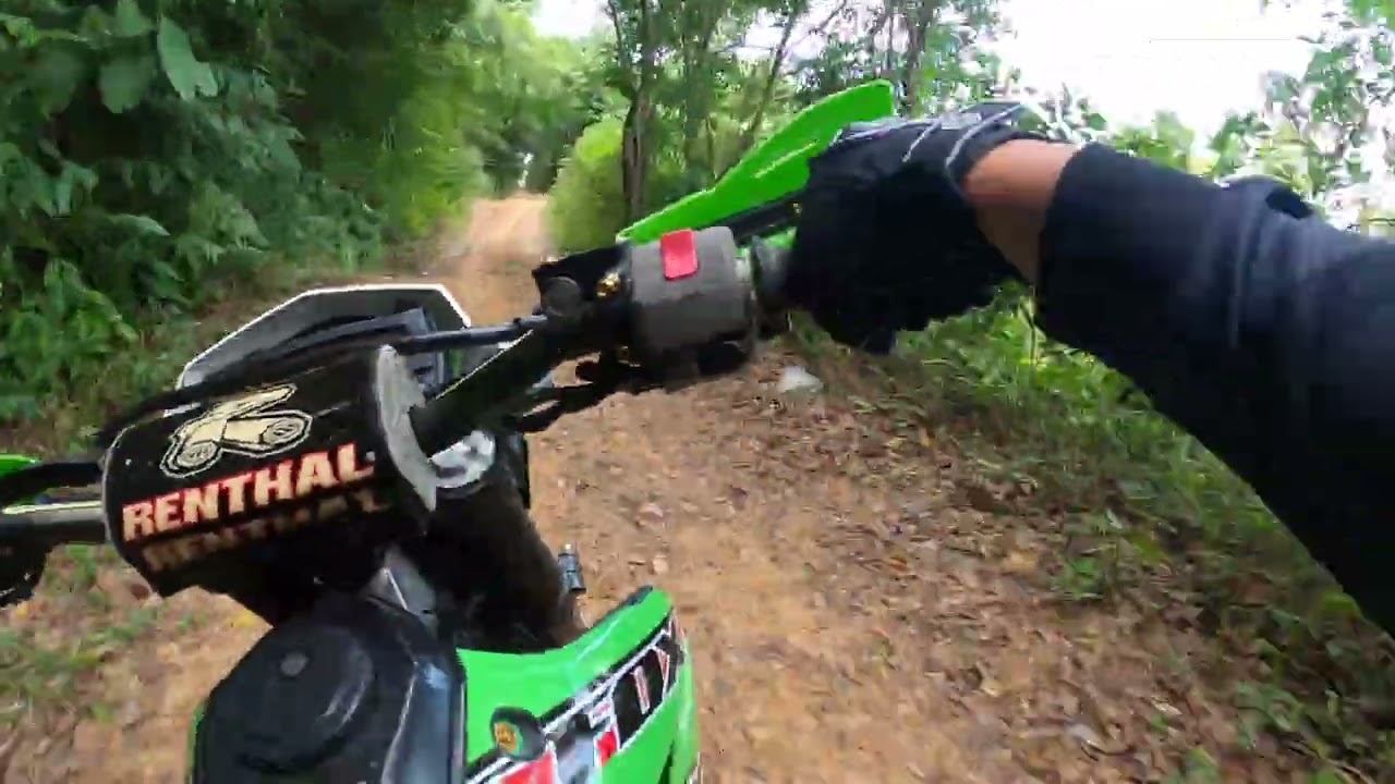 29 มกราคม ค.ศ. 2026