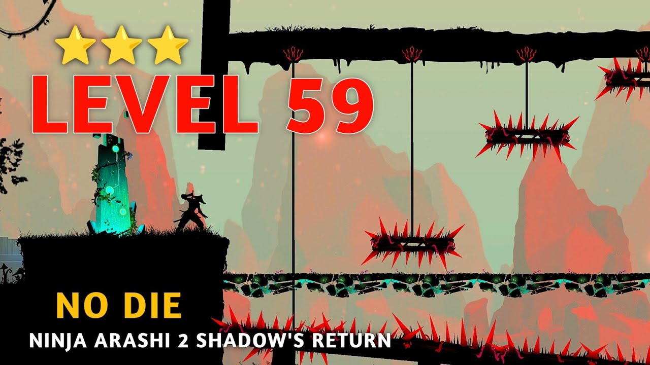 Ninja Arashi 2 Shadow's Return Level 59