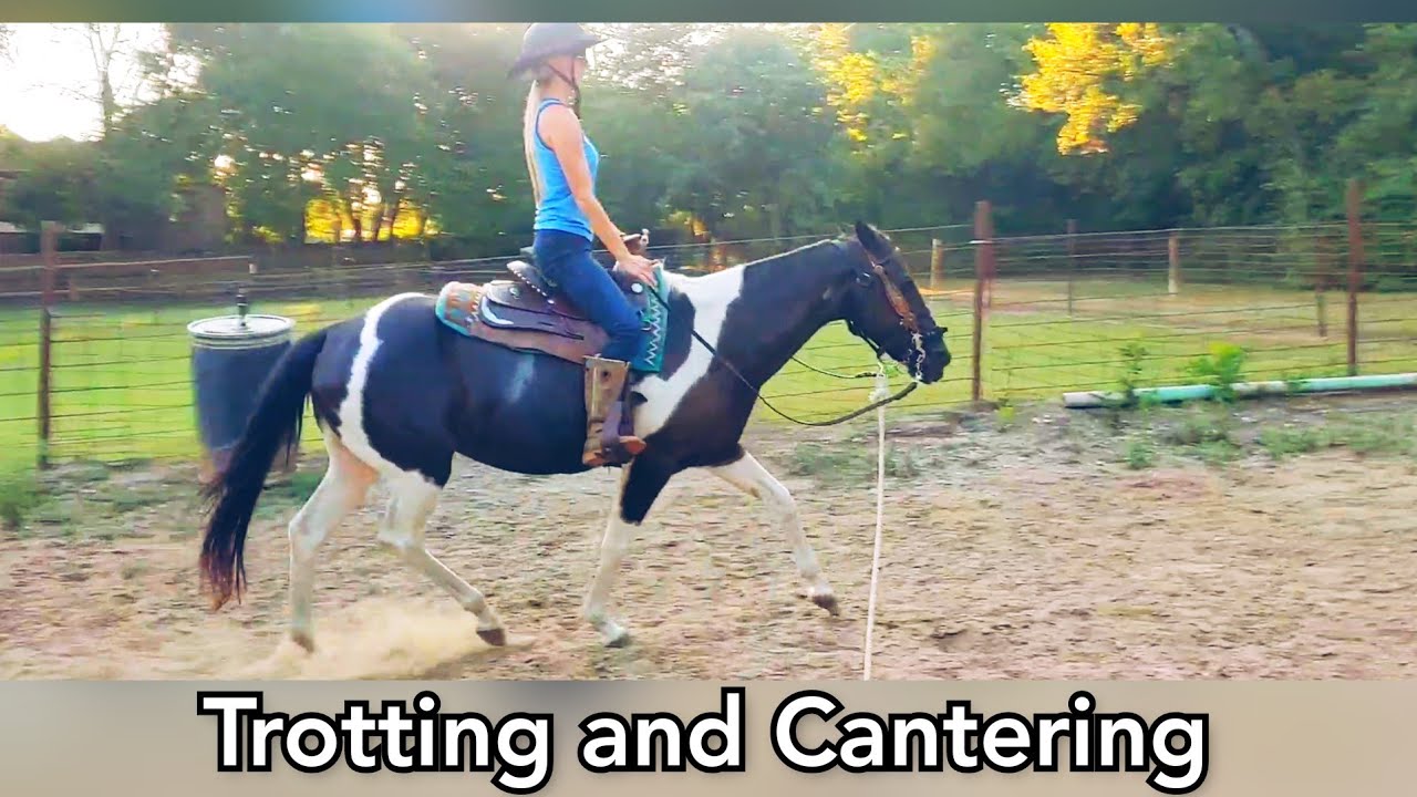 Trotting and Canter lesson - Western Horsemanship adult beginner