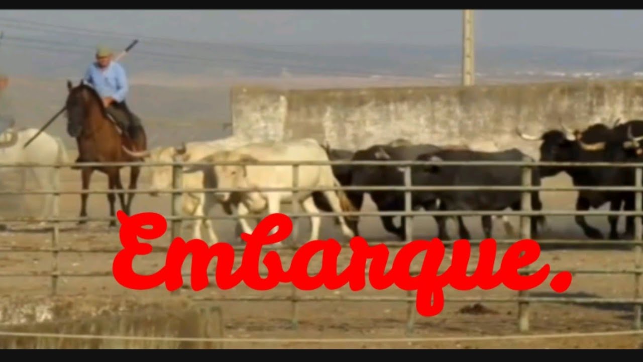 Victorino Martin | Embarque para Francia.