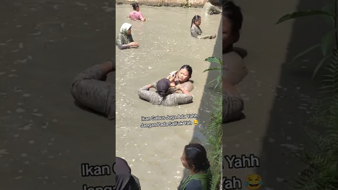 Ikan gabus babon #ngobeng #foryoupage #fyp #fypage #masukberanda