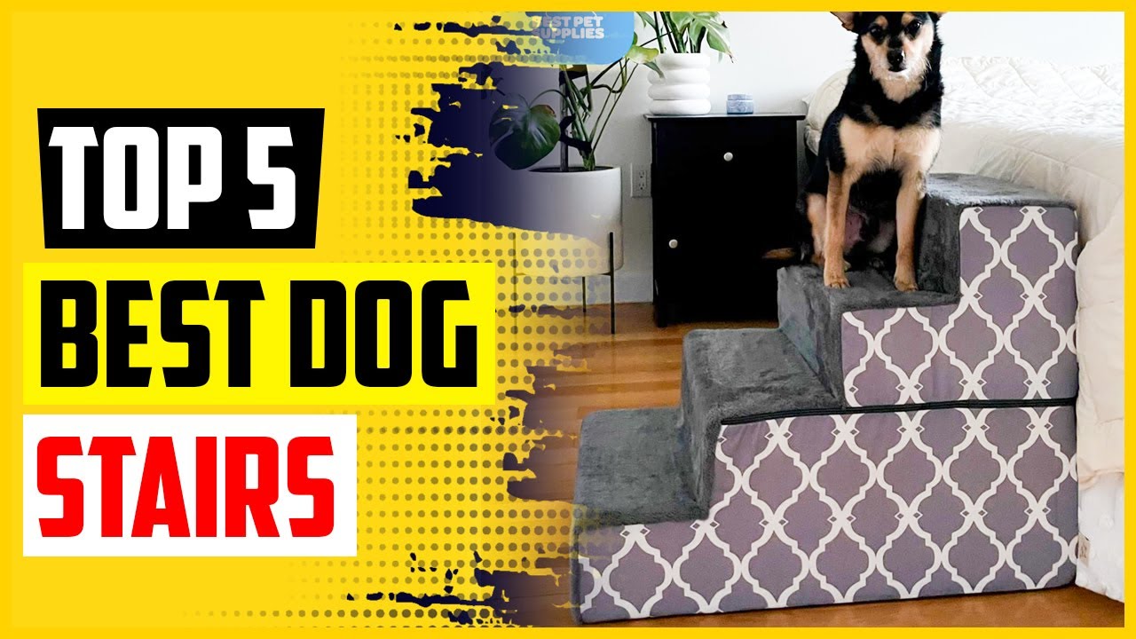 Top 5 Best Dog Stairs for Beds in 2022 Reviews