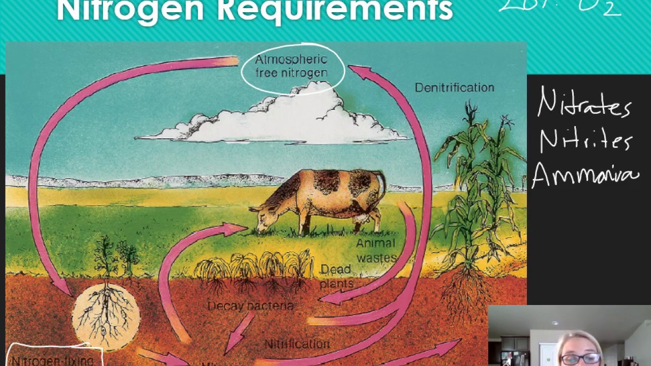 Chapter 6: Other Growth Requirements