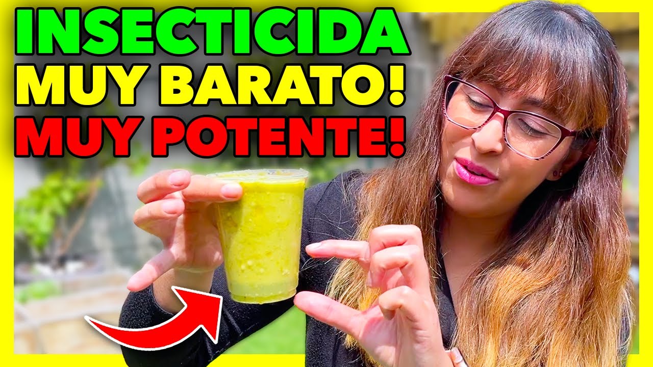 😍 INSECTICIDA CASERO para PLAGAS! ❌  Elimina Hormiga, Pulgón, Trip, Cochinilla Algodonosa...