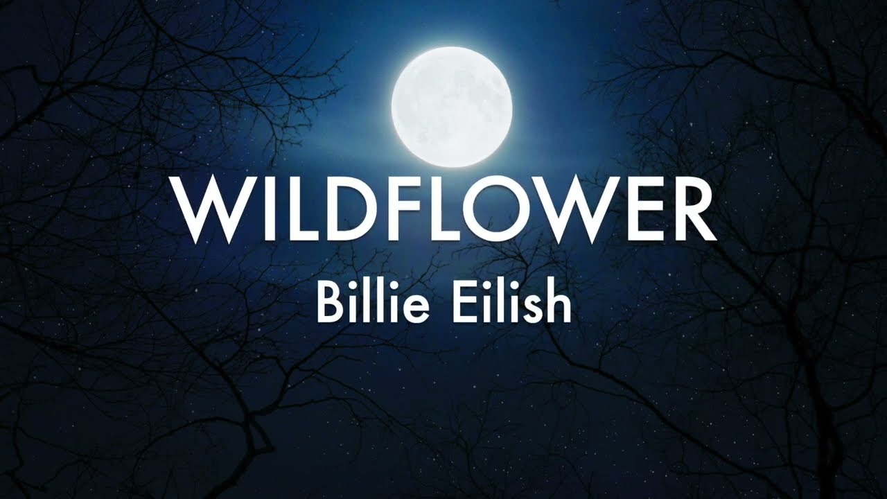 Billie Eilish - WILDFLOWER (Lyrics/ Lyric Video)