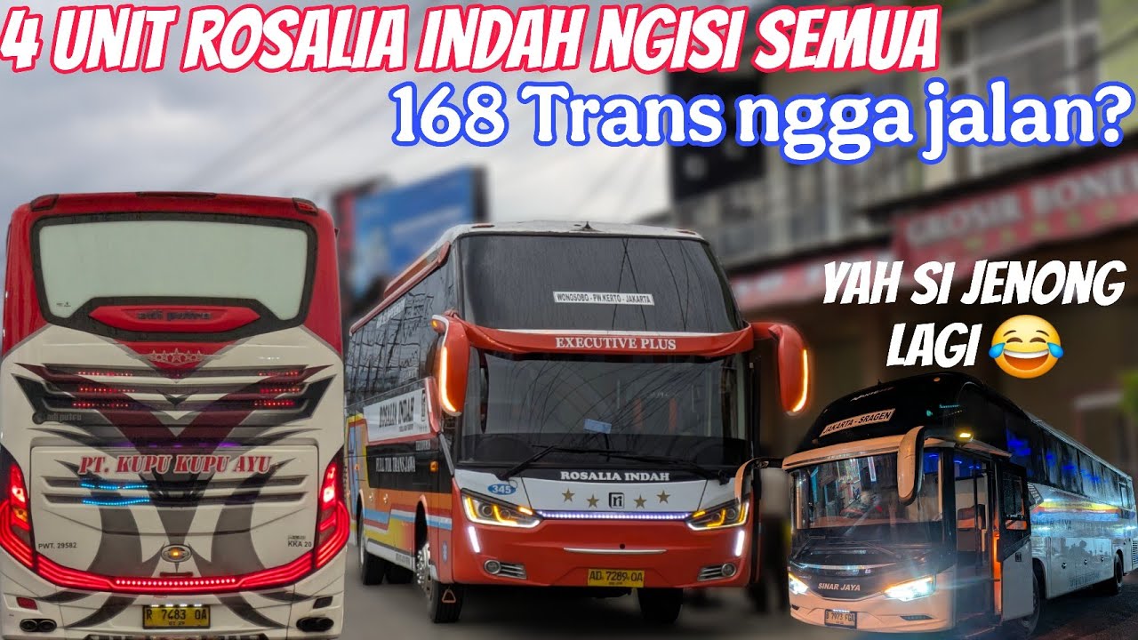 Jarang Terjadi‼️4 Unit Rosalia Indah Ngisi Penumpang Di Agen Klampok Semua‼️ Sinar Jaya 81 RE Lagi⁉️