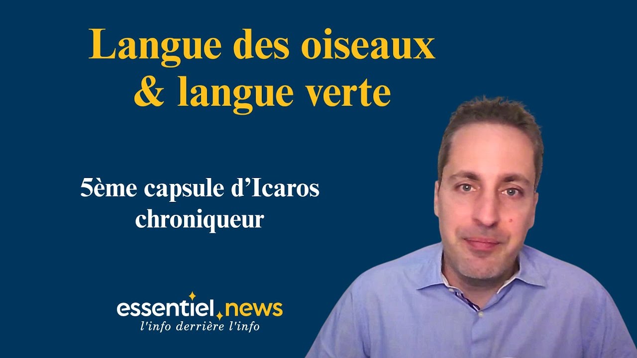 Icaros: Langue des oiseaux et langue verte