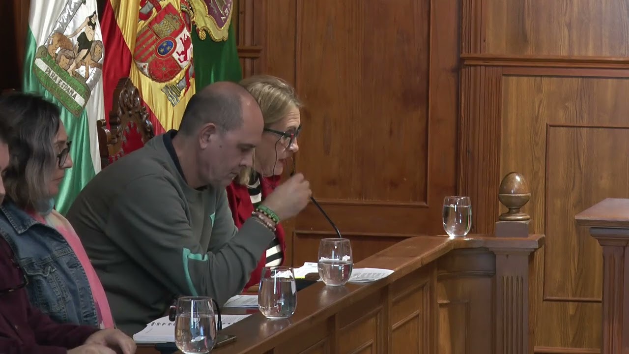 PLENO ORDINARIO 11-11-2024