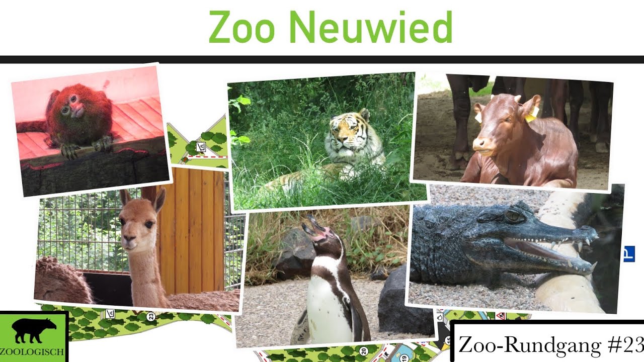 Zoo Neuwied 2022 | Zoo-Rundgang #23
