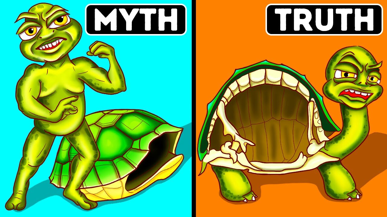 Turtles Can't Leave Their Shells + 70 Facts About Everything