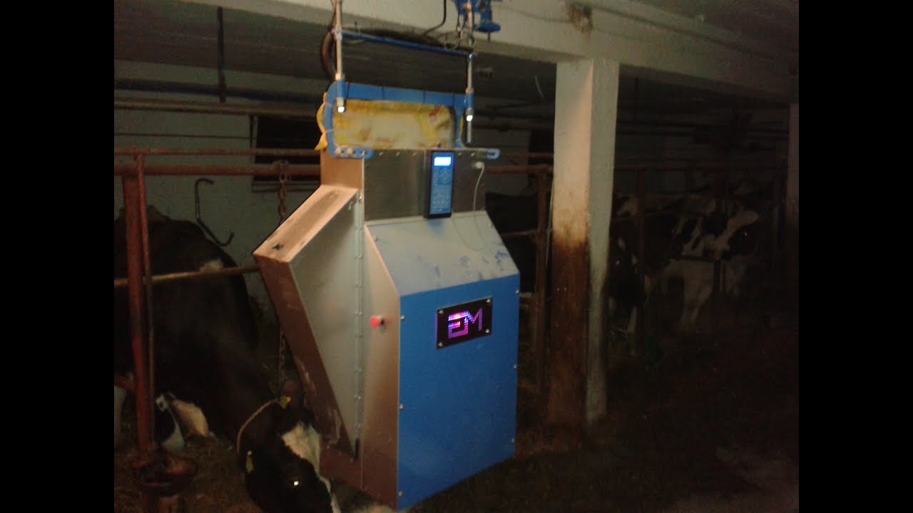 Robot paszowy euromilk