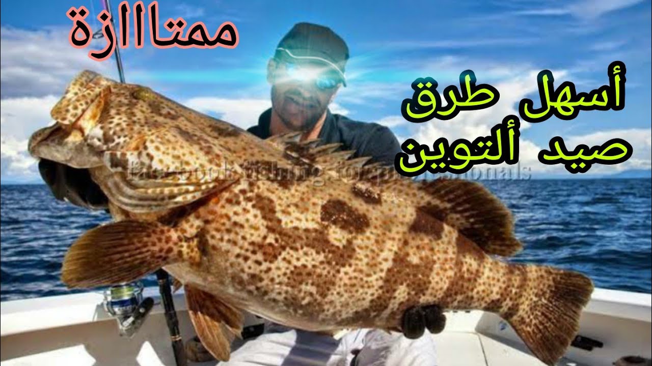 أفضل طرق صيد ألاسماك الكبيره (كوشر.. توين.. هامور )