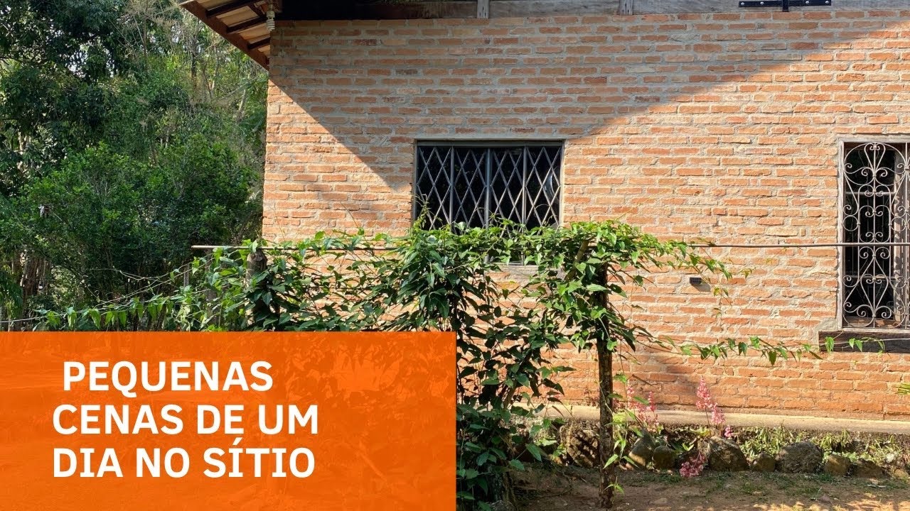 Pequenas cenas do nosso dia