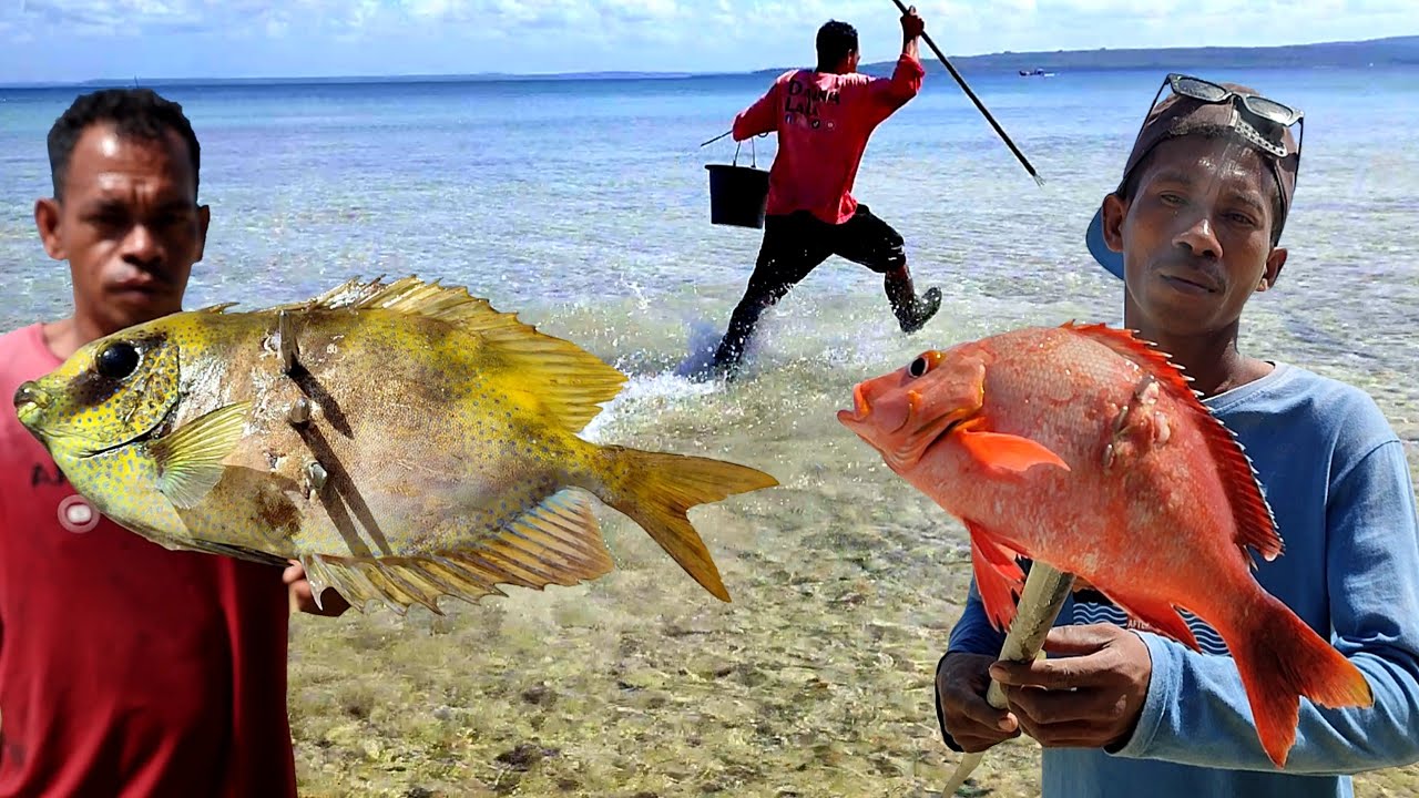 Alam Asri berburu Kerang dan Kejar²an dengan Ikan saat air laut surut bersama Subscriber Hongkong