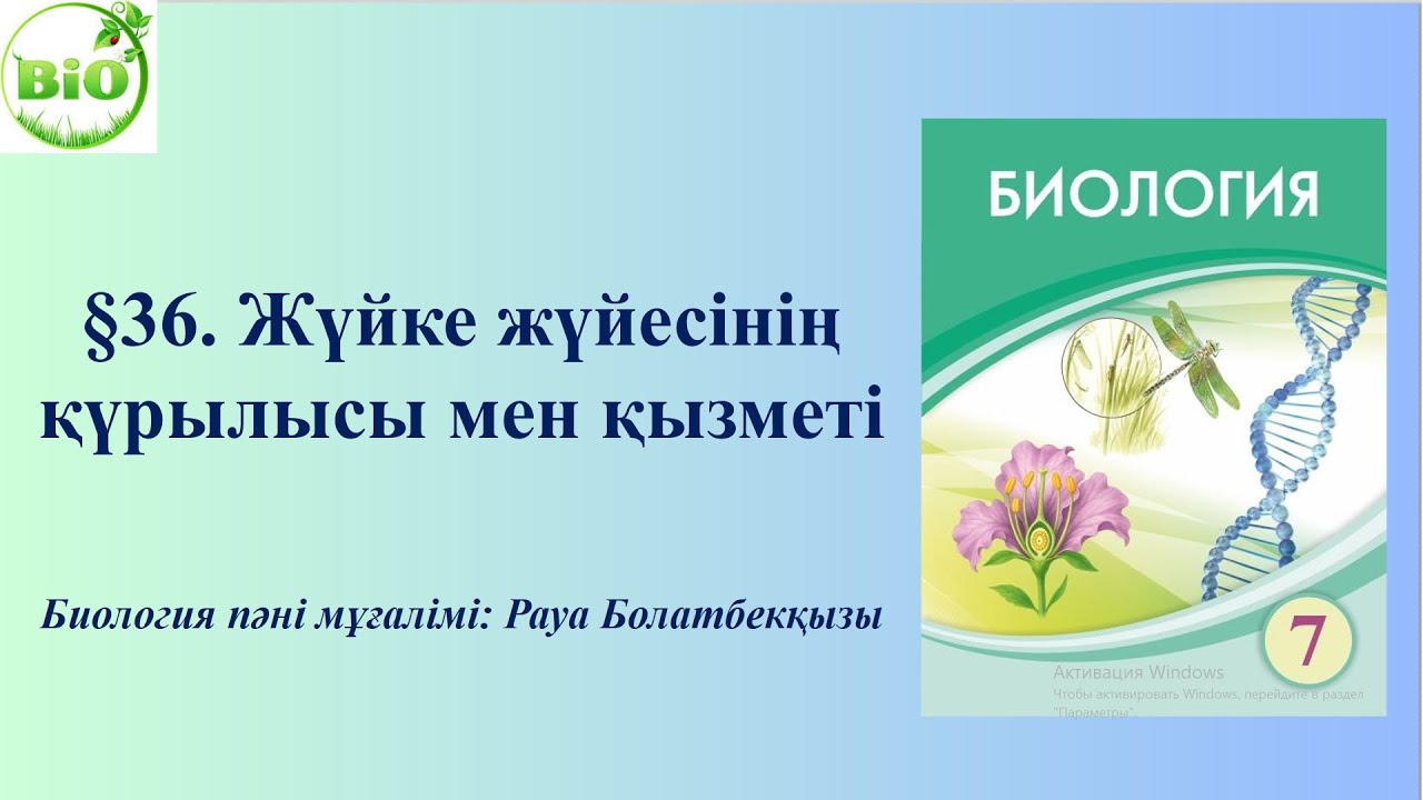 Жүйке жүйесінің құрылысы мен қызметі #жүйке #нерв #nervoussystem #neuron #нейрон
