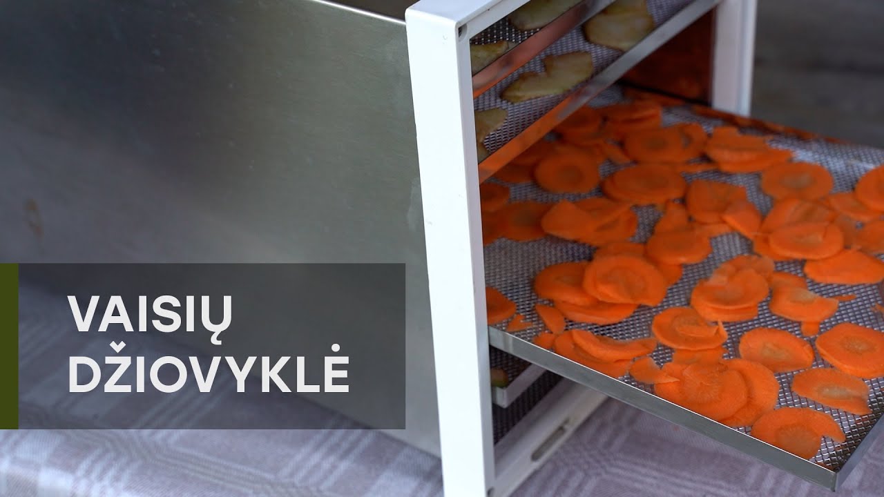 Vaisių džiovyklė