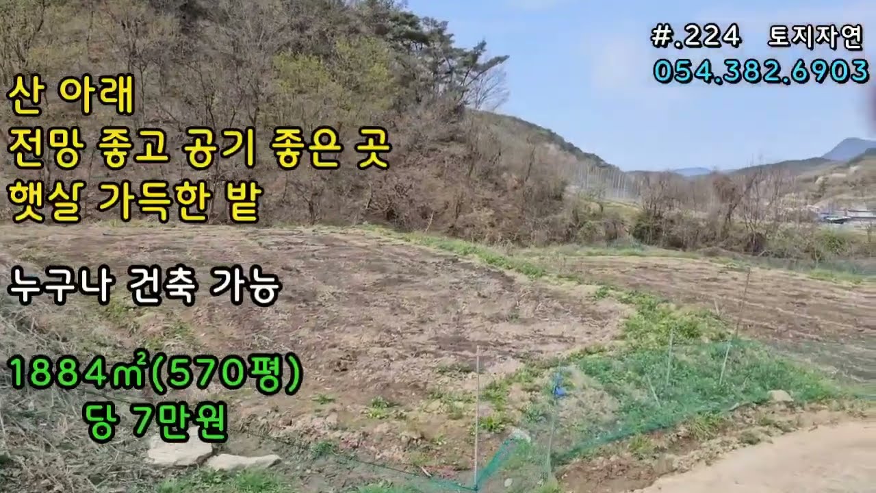매물.224/우뚝 솟아 전망좋은 땅 하루종일 햇살 좋고 협오시설 없는 곳(#경북#부동산#의성부동산#군위부동산#의성땅#군위땅#의성땅매매#군위땅매매#시골#농촌#집지을땅#싼땅#안동)