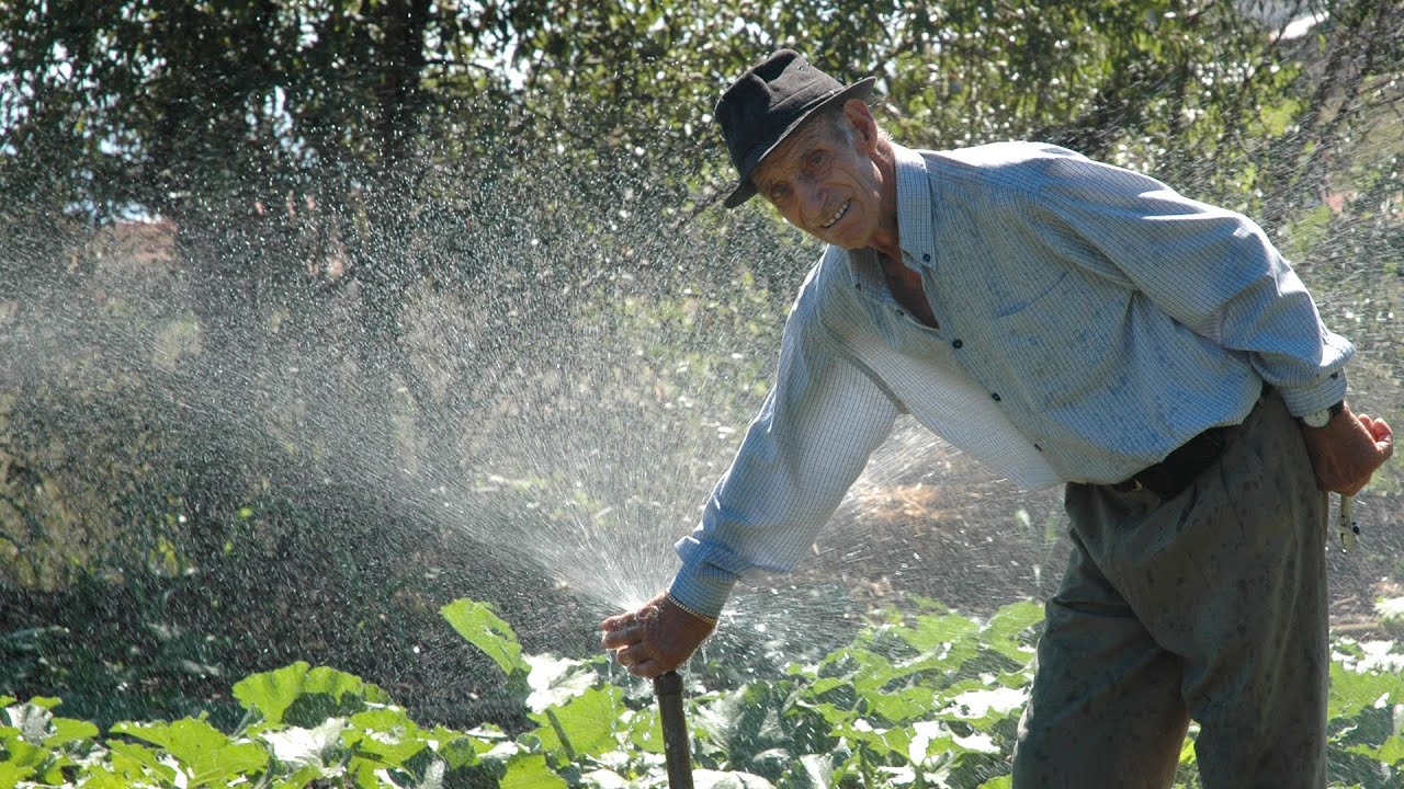Agricultores en Valsequillo Gran Canaria 2021.