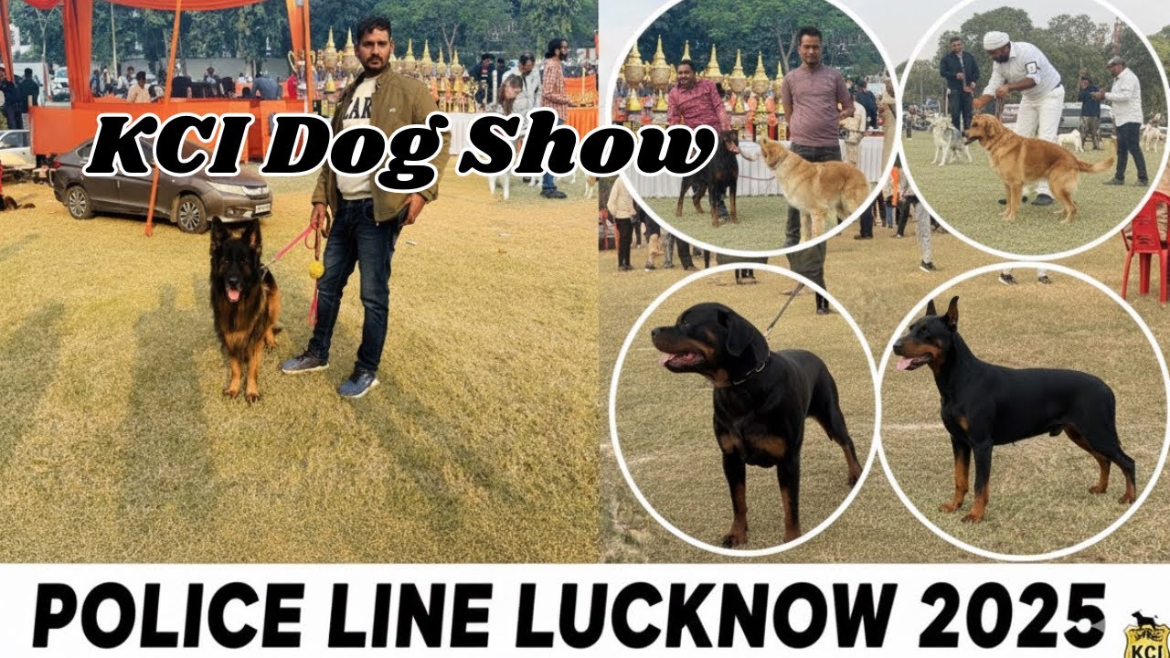 Lucknow KCI Dog Show 2025 | India&rsquo;s Biggest Dog Championship!&rdquo; l Lucknow Dog Show 2025 l Dog Show 