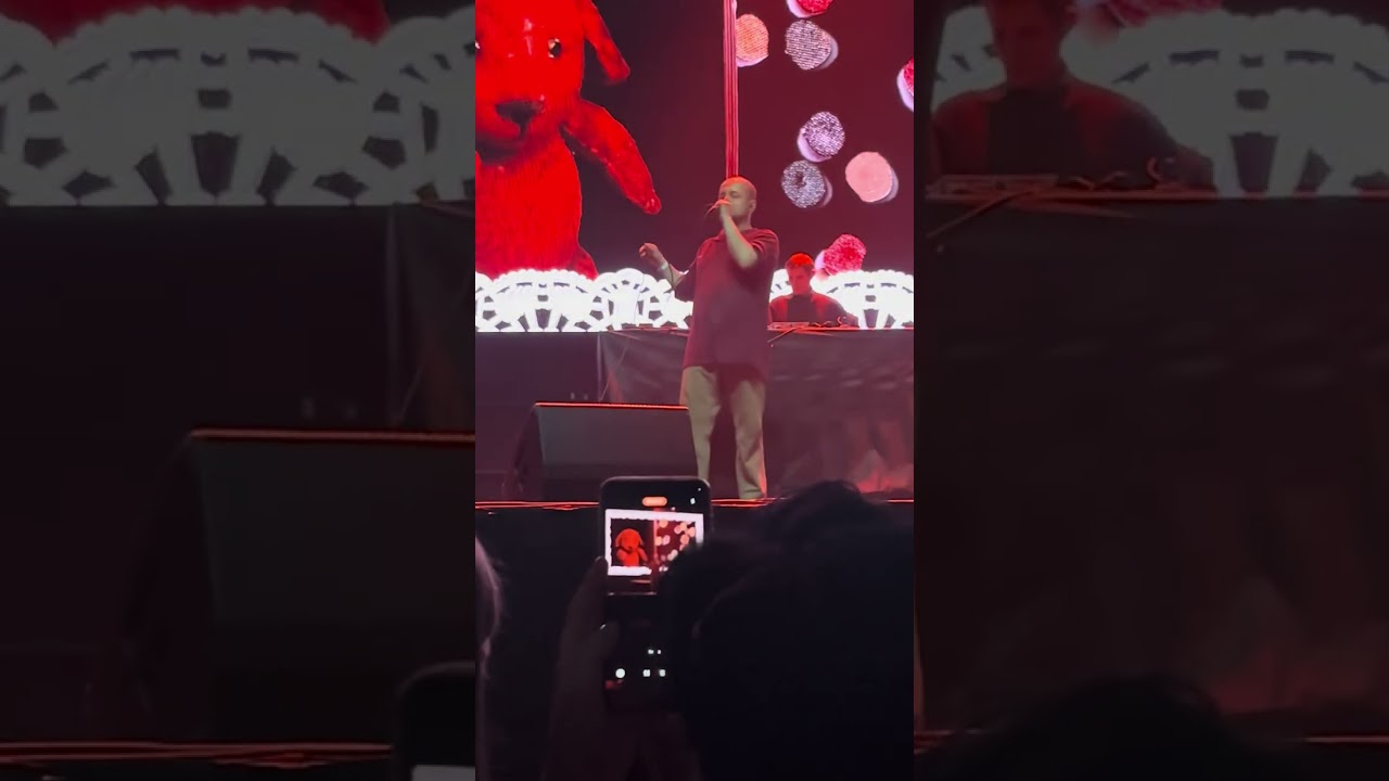 Порез на собаке - Эй, Дружок (live 