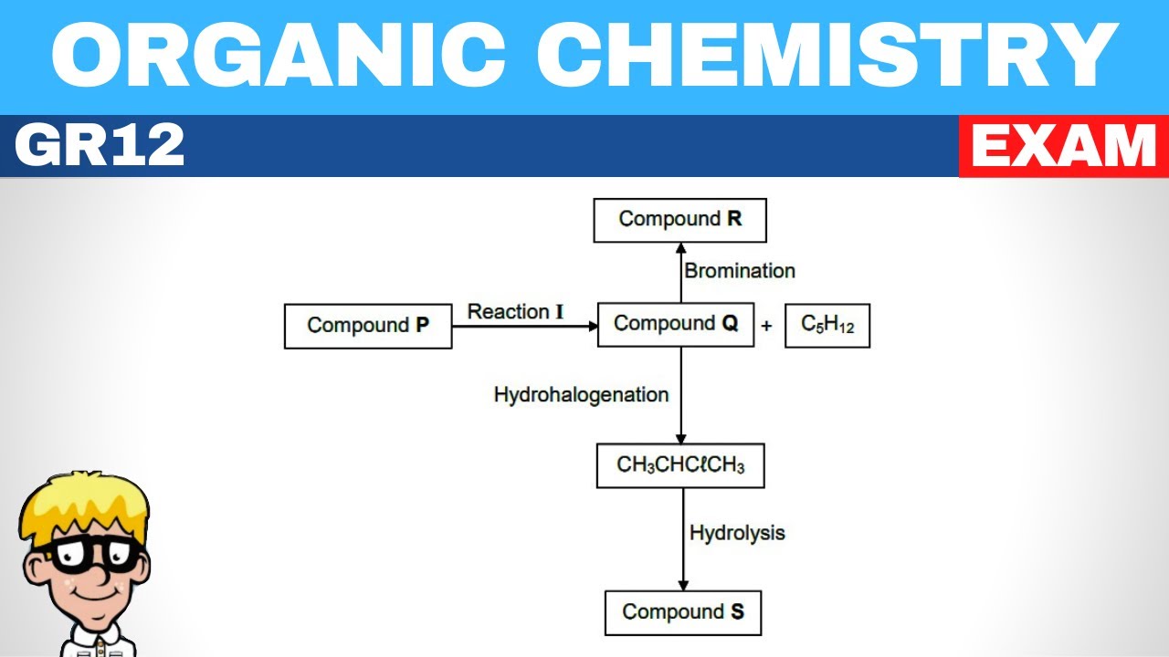 Exam Question Organic Chemistry Grade 12 | Reactions