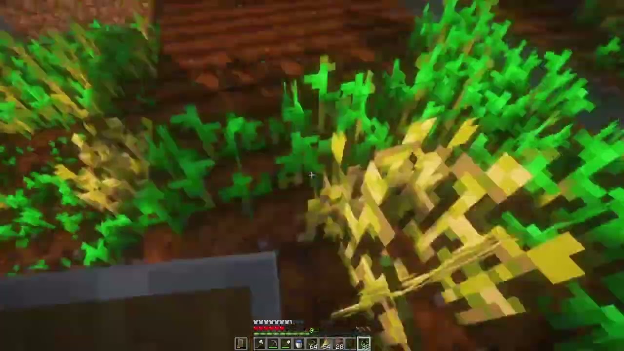 Minecraft Cz.5