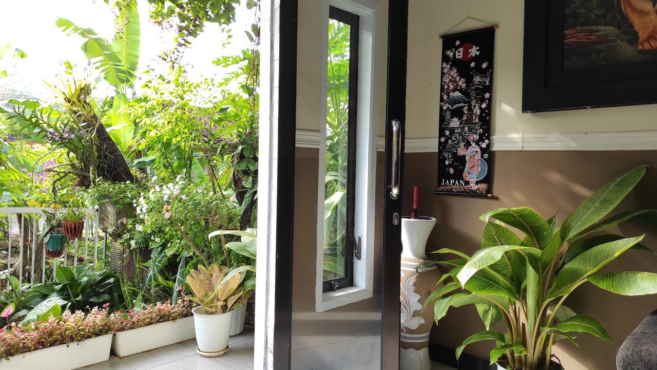 Penataan Rumah Minimalis Yang Cantik Penuh Tanaman Hias